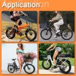 SEENRONGYUAN 36V 48V Ebike Battery, Silver Fish Lithium-ion Battery with 30A BMS for 250W/350W/500W Electric Bike Bicycles Folding Bike Mountain Bike Motor (36V 10.6AH)