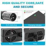 Fancy Buying 54.6V 2A ebike Charger for 48v Fast and Safe 3-Pin Charging of 13S Li-ion Battery