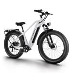 Wooken Gale Electric Bike 26" x 4.0 Fat Tire Electric Bike,Peak 1500W Motor EBike for Adults with 48V 720WH Removable Battery, Up to 60Miles Ebikes,7 Speed,SGS Certified to UL2849