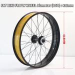 20" Fat Bicycle Front Wheel - 4.0" Tire, Aluminum Alloy, Quick Release 9x135mm 36H Hub, 6 Bolts Disc Brake for E-Bike, Snow and Beach Bikes
