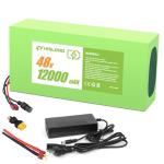 H HAILONG 48V 12Ah Universal Power Battery Pack | High Output 30A BMS for 200W-800W Motors | Long-Lasting 1000+ Cycle Life with Fast Adapter