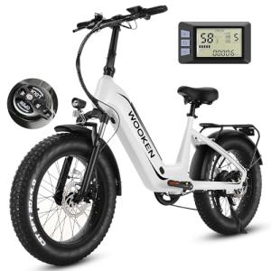 Wooken Electric Bike for Adults, Peak 1000W Motor Ebike, 20"x4.0" Fat Tire Electric Bike, 48V 13AH Removable Battery, Up to 60 Miles, Step-Thru Electric Mountain Bike, SGS Certified to UL 2849
