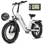 Wooken Electric Bike for Adults, Peak 1000W Motor Ebike, 20"x4.0" Fat Tire Electric Bike, 48V 13AH Removable Battery, Up to 60 Miles, Step-Thru Electric Mountain Bike, SGS Certified to UL 2849