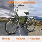 ECOTRIC Citycruiser Electric Bike 26" - 350W Motor