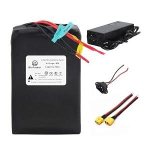 BtrPower 48V 52V 12Ah 16Ah 18Ah 20Ah E-Bike LiFePO4 Lithium Battery,Built-in 30A BMS for 0-720W Motor