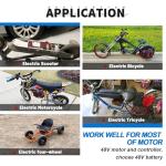 BtrPower 48V 52V 12Ah 16Ah 18Ah 20Ah E-Bike LiFePO4 Lithium Battery,Built-in 30A BMS for 0-720W Motor