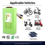 H HAILONG Certified 52V 30Ah High-Performance Scooter/Personal E-Transport Power Pack for 200W-1500W Motor, with 40A BMS, XT60 Connector & 58.8V 4A 3-Prong XLR Adapter, 1000+ Deep Cycles