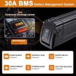 48V 36V E-bike Battery, Silver Fish Lithium Batteries 30A BMS, USB Output, Safe Lock, Led Indicator Light for Controller 0W-1000W Motor (48V 10.6AH)