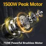 INSDRGN Electric Bike for Adults Peak 650W, 20 MPH Folding E Bike, 48V Removable Li Battery Ebike, Top 45 Miles PAS Range, 14" Fat Tire Bikes, with USB Charging Phone Holder, UL2849 Certified, Black