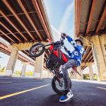 Yozma IN10 Electric Dirt Bike, 2600W 40MPH Electric-Motorcycle with 48V/23AH Battery Ebike, Full Hydraulic Brakes and Suspensions Mountain Off-Road E Dirt Bike, for Teens & Adults