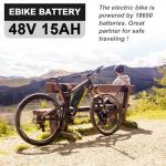 LFPNERYE Hailong Ebike Battery 36V 48V 52V-15AH 20AH with 3A Fast Charger 30A BMS, E-Bike Scooter Lithium Battery for 0-1500W Motor.