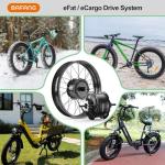 BAFANG 48V1000W Rear Hub Motor Kit - Snow Ebike Conversion Kit for 20"/26" Fat Tire Rear Wheel Bikes for Snow/Beach Bikes Electric Bike Conversion kit with Display & Battery (Optional)