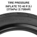 MAKELEN 20x3.0 Fat Tire for Electric Bike – Low-Profile Tread E-Bike Tire for City Streets, Gravel Roads, and Improved Energy Efficiency (2 Tires(Black), 20x3.0 inch)