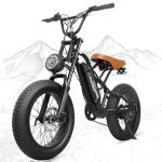 kulifoo Electric Bike for Adults 48V/20AH Battery 1500W Peak Motor, 20" Fat Tire Ebike for Mountains, Snow, Sand, Road with Hydraulic Suspension.All Terrain Electric Dirt Bike