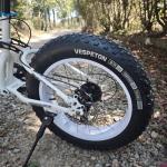 20x4.0 inch Fat Bike Tire 60TPI for Electric Bike Fat Bicycle Tire 4.0 inch Mountain Bike Tire (20x4.0 inches)