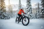 QnQ Fat Tire Electric Bike for Adults, 2000W Peak Mountain Ebike with 34 MPH, 65 Miles Range, 7 Speeds, 48V 15Ah Removable Battery 26" Electric Bicycle for Commute