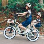 Electric Bike for Adults, 20"x 4" Fat Tire 35MPH Cargo Ebike, 1450W Peak Cargo Ebike with 48V 20AH Removable 960WH Battery, 80 Miles Max Range 2 Seater 7-Speed Step-Thru Electric Bicycle Green