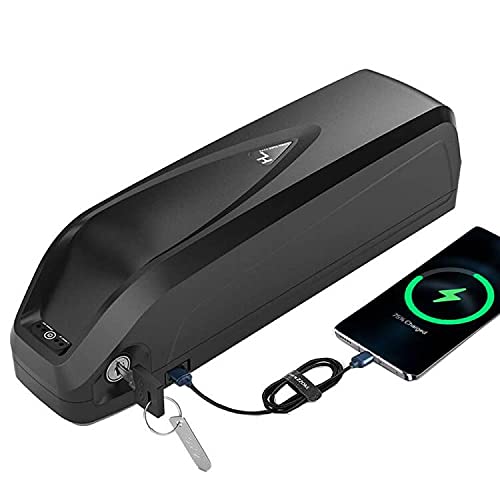 48V Lithium Ebike Battery for 1000W/750W/500W Motor