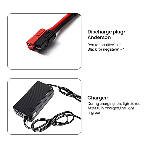 QWW 48V 10AH eBike Battery Pack for 100W - 1100W Motor Kit