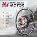 PEXMOR Electric Bike Conversion Kit - 24" Front Wheel Ebike Conversion Kit with 36V 750W Electric Bicycle Hub Motor, PAS/LCD Display, Controller, Brake Lever, Torque Arm