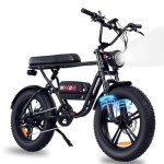 Windone K2 Electric Bike for Adult,Ebike for Adults with 750W Power Motor,48V13Ah UL Certified Battery,All Terrain 20" Fat Tire Electric Bike Up to 28MPH&46.6Miles Range with Double Seat,Urban E-Bike