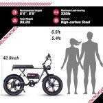 Windone K2 Electric Bike for Adult,Ebike for Adults with 750W Power Motor,48V13Ah UL Certified Battery,All Terrain 20" Fat Tire Electric Bike Up to 28MPH&46.6Miles Range with Double Seat,Urban E-Bike