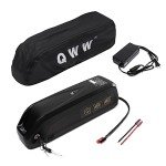QWW 48V25A 13AH Mini Battery for 100W - 1200W Ebike with 2A Fast Charger and Waterproof Bag