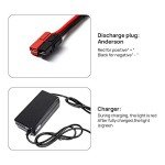 QWW 48V25A 13AH Mini Battery for 100W - 1200W Ebike with 2A Fast Charger and Waterproof Bag