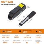 LGECOLFP 48V Ebike Battery 15Ah Battery Pack with USB Port 3A Fast Charger 30A BMS for 48V Controller 250W 350W 500W 750W 1000W Motor