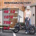 Windone S16 Electric Bike for Adults, 750W Peak Motor Ebike with 48V/13Ah Removable Battery, Max 22MPH Speed & 50 Miles Range (PAS), 16" x 4.0 Fat Tire and Shock Absorber,UL Certified