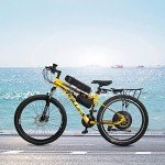 Ktaxon 48v 1000w Ebike Conversion Kit, 24In Electric Bike Conversion Kit with Powerful Hub Motor, LCD Display, 5 Optional Speed,4 Riding Modes, PAS System and Intelligent Controller (Front Wheel)
