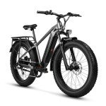 VEEFA E1 Electric Bike for Adults 750W/Peak 1000W Motor 48V 13AH Removable Battery Step-Over Electric Bicycle 26" x 4.0" Fat Tire Mountain Ebike 28MPH E Bike 7-Speed Gray