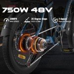 HITWAY Electric Bike for Adults, 20" Fat Tire E Bike 750W 20MPH Removable Folding Electric Bike, 48V/14Ah Battery 55-120KM,All Terrain tire Electric Bicycles