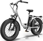 Hiboy EX6 Electric Bike for Adults, 20" 4.0 Fat Tire E Bike 500W Brushless Motor, 48V 15AH Removable Battery Ebike Up to 25 MPH, Shimano 7 Speed with Electric Horn