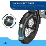 Hiboy EX6 Electric Bike for Adults, 20" 4.0 Fat Tire E Bike 500W Brushless Motor, 48V 15AH Removable Battery Ebike Up to 25 MPH, Shimano 7 Speed with Electric Horn