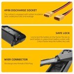 KUSAYLA Ebike Battery 48V 10Ah Lithium Battery with 2A Charger for 200-1200W Motor,USB Interface, LED Battery Indicator, Power Switch, Safety Lock for Adult Electric Bike,Tricycle,Motorcycle (4-Pin)