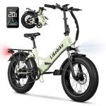 Folding Electric Bike 20" x 4.0 Fat Tire Electric Bicycle,48V Lithium Removable Battery,Peak 720W Folding Ebike for Adult,5 Pedal-Assist Levels& Large LCD Display,Step Through ebike for Adult