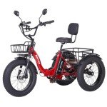 NARRAK Electric Tricycle for Adults, 750W(Peak 1350W), 48V13Ah Ebike, 20"x4.0" Aluminum Folding Fat Tire 3 Wheel Electric Trike, Max 20MPH Hydraulic Brake, Rear Motor Differential
