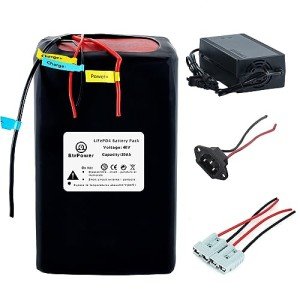 BtrPower Ebike Battery 48V 30AH LiFePO4 Battery Pack with 5A Fast Charger,50A BMS for 500W 1000W 15000W 2000W Motor,Lithium Iron Phosphate Battery
