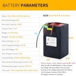 BtrPower Ebike Battery 48V 30AH LiFePO4 Battery Pack with 5A Fast Charger,50A BMS for 500W 1000W 15000W 2000W Motor,Lithium Iron Phosphate Battery