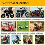 BtrPower Ebike Battery 48V 30AH LiFePO4 Battery Pack with 5A Fast Charger,50A BMS for 500W 1000W 15000W 2000W Motor,Lithium Iron Phosphate Battery