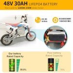 BtrPower Ebike Battery 48V 30AH LiFePO4 Battery Pack with 5A Fast Charger,50A BMS for 500W 1000W 15000W 2000W Motor,Lithium Iron Phosphate Battery