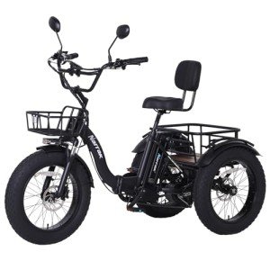 NARRAK Electric Tricycle for Adults, 750W(Peak 1350W), 48V13Ah Ebike, 20"x4.0" Aluminum Folding Fat Tire 3 Wheel Electric Trike, Max 20MPH Hydraulic Brake, Rear Motor Differential
