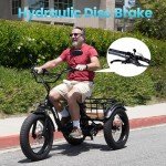 NARRAK Electric Tricycle for Adults, 750W(Peak 1350W), 48V13Ah Ebike, 20"x4.0" Aluminum Folding Fat Tire 3 Wheel Electric Trike, Max 20MPH Hydraulic Brake, Rear Motor Differential