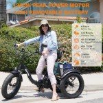 NARRAK Electric Tricycle for Adults, 750W(Peak 1350W), 48V13Ah Ebike, 20"x4.0" Aluminum Folding Fat Tire 3 Wheel Electric Trike, Max 20MPH Hydraulic Brake, Rear Motor Differential