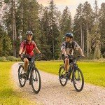 ZNH Electric Bike, 26'' Electric Bikes for Adults, Electric City Bicycles for Adult 21-Speed 20mph,350W Adult Ebike 36V/10AH Battery, Electric Commuter Bike/Mountain Bike