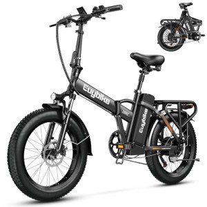 bluebiko 1000W Folding Electric Bike, 48V 20AH Large Removable Battery E Bike, 30+MPH, 80 Miles Max Range, 20" Fat Tire Electric Bike for Adults, Adult Electric Bicycles for Commute Beach Snow