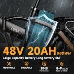 bluebiko 1000W Folding Electric Bike, 48V 20AH Large Removable Battery E Bike, 30+MPH, 80 Miles Max Range, 20" Fat Tire Electric Bike for Adults, Adult Electric Bicycles for Commute Beach Snow