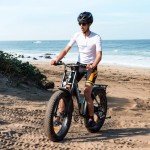 RegalRider Electric Bike 26" Fat Tire Ebike, 1000W Peak Motor, Max Range 65 Miles Dual Hydraulic Brake Snow Ebike for Adults, Electric Mountain Bike with 624Wh Removable Battery, LCD Display, 7-Speed