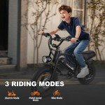 AVDLBIKE Electric Bike, 16'' Fat Tire eBike for Teens/Adults, 500W E-Bike with 36V/12.8Ah Removable Battery, 22MPH 45 Mile Range Commuting Electric Mountain Bike with Dual Disc Brakes